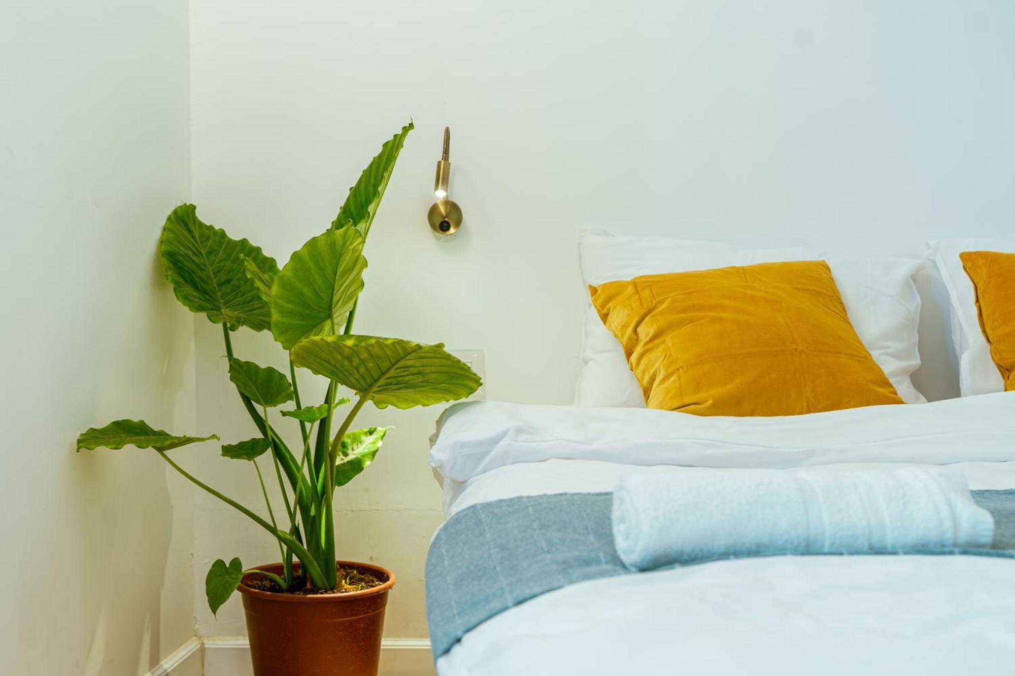 Jabitat- Jaffa Boutique Tlv Hotell Tel Aviv Eksteriør bilde